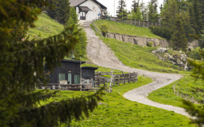 Viele Wege führen zur Hütte